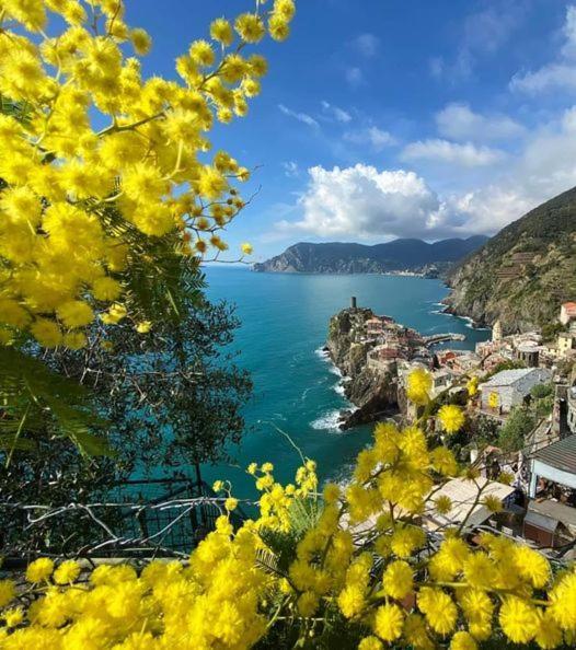 Appartamento Linda A Pochi Passi Dal Mare - 011030-Lt-0357 Vernazza Zewnętrze zdjęcie