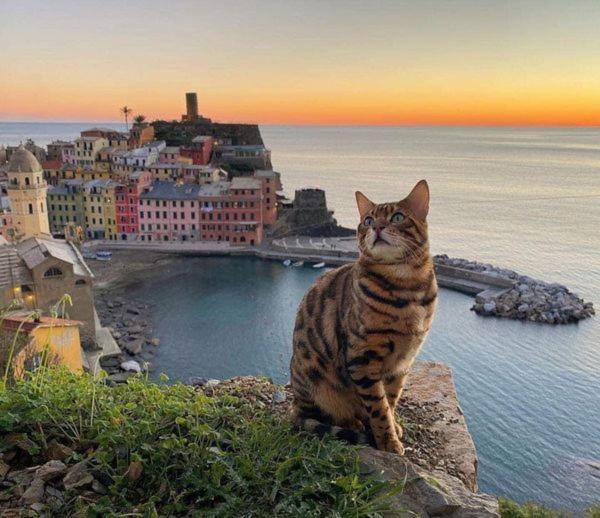 Appartamento Linda A Pochi Passi Dal Mare - 011030-Lt-0357 Vernazza Zewnętrze zdjęcie